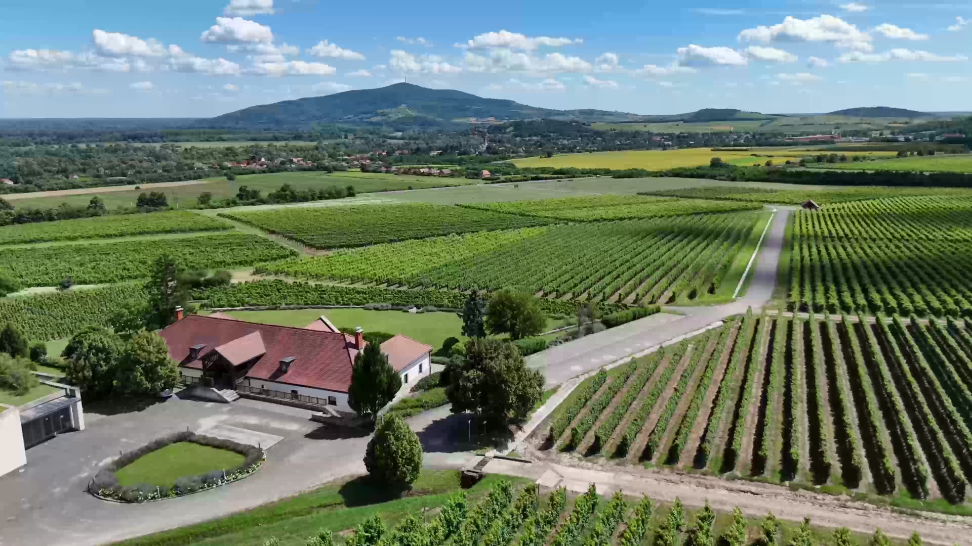 Sonoma County wine country, illustrative